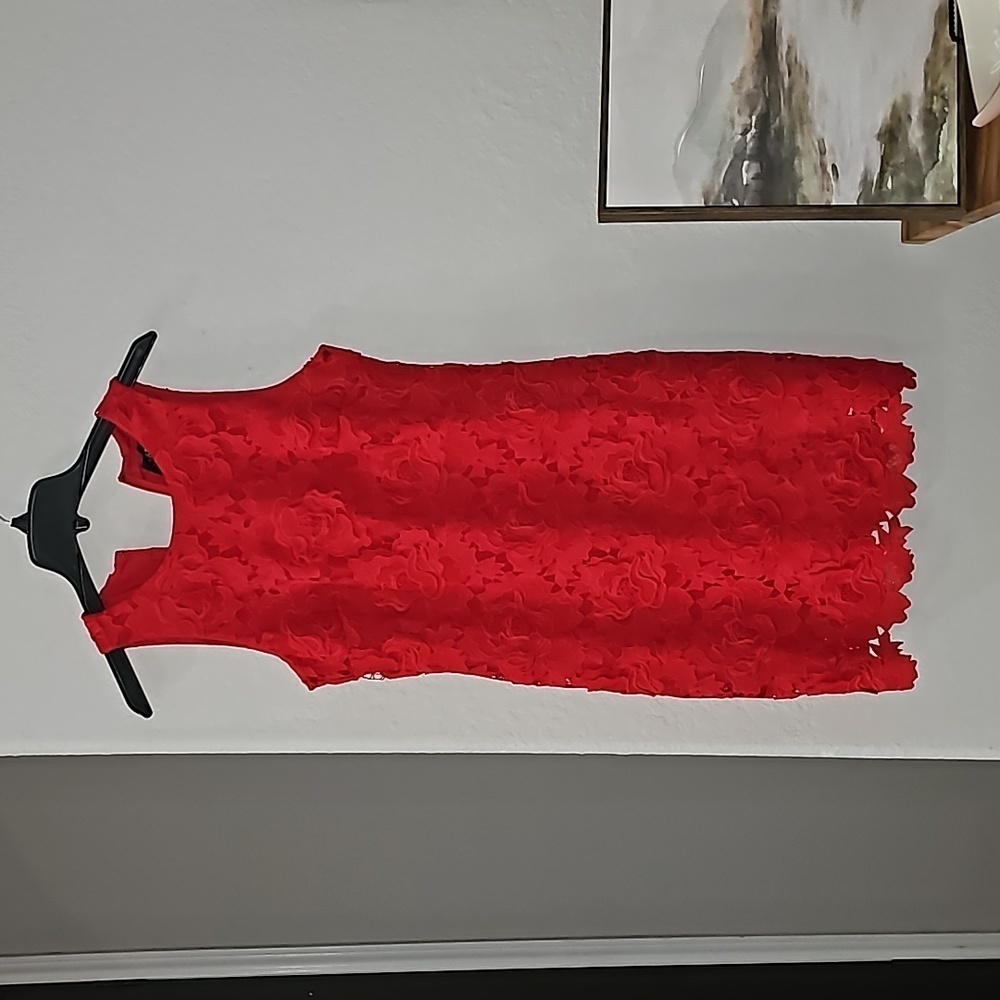 J. CREW COLLECTION RED DRESS FLORAL EMBROIDERED SZ 4